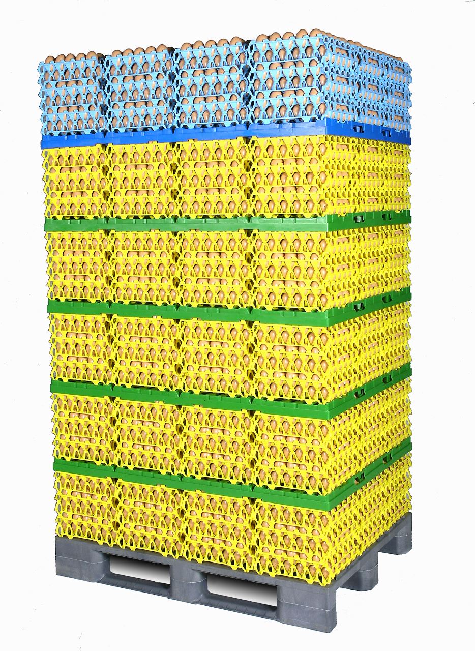 5 STÜCKE Kunststoff Eierkartons 30 Zellen Eierkisten Halter Tablett für Lagerung Transport Home Farm Supplies Blau Eierkisten 